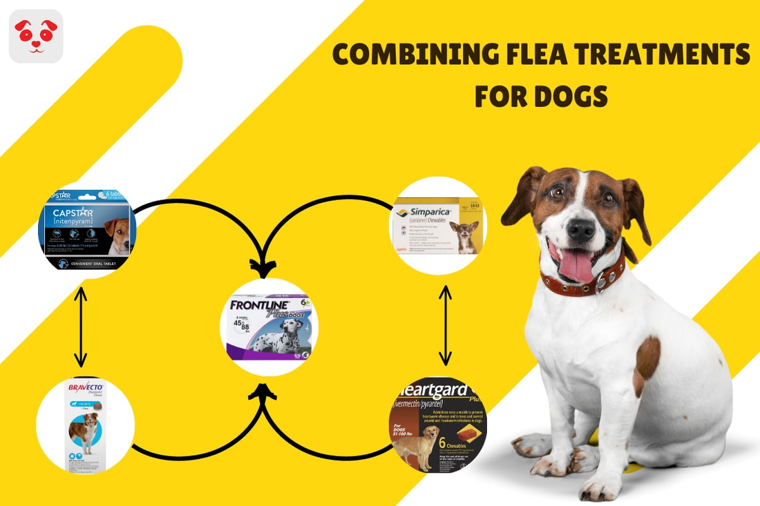 combining flea treatments 