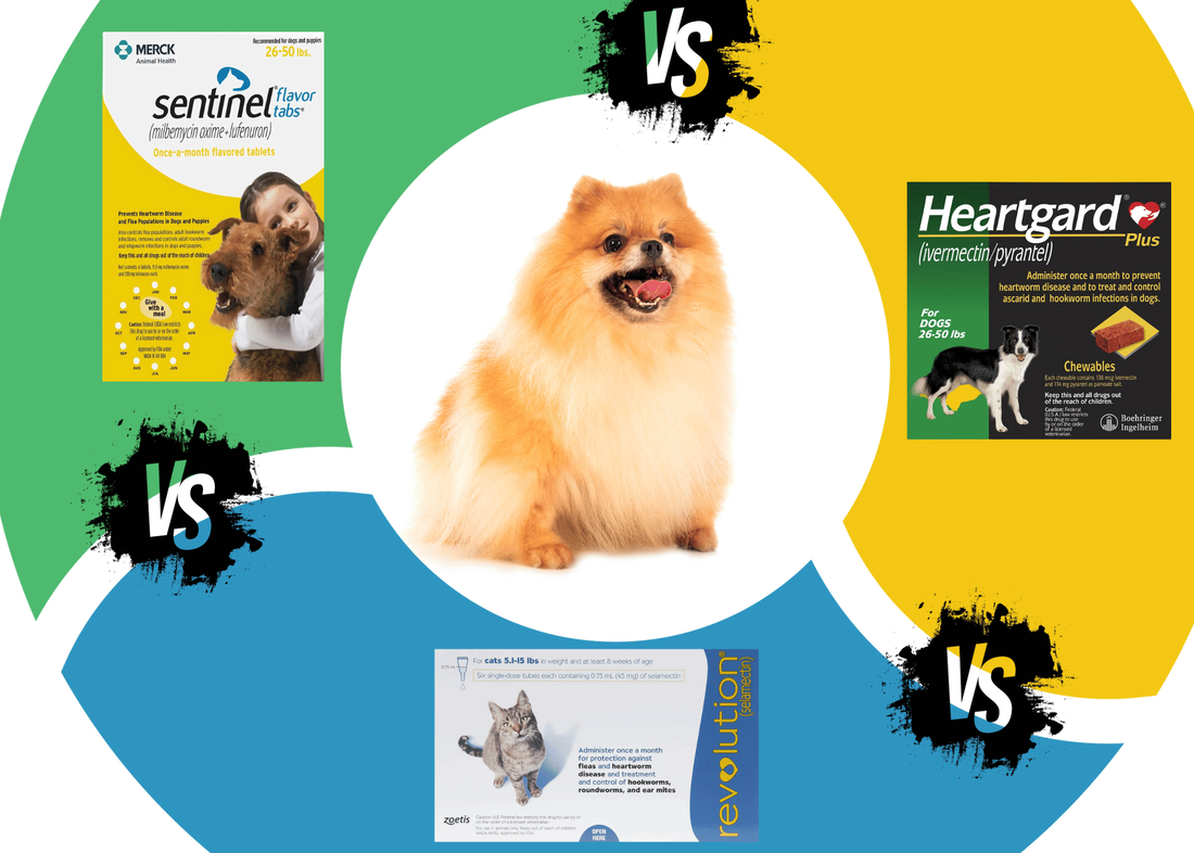 Comparing Heartgard Plus Vs Sentinel Vs Revolution for Heartworm Prevention in Dogs
